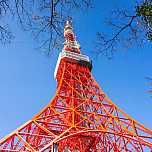 【東京】楓葉正紅增上寺&東京鐵塔