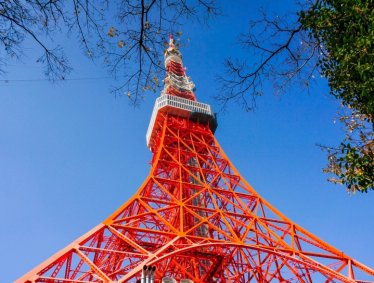 【東京】楓葉正紅增上寺&東京鐵塔