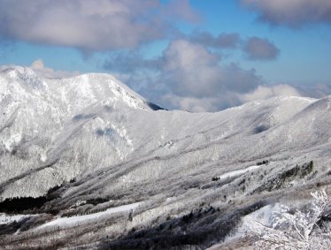 日本東北山形 - 藏王樹冰(雪怪